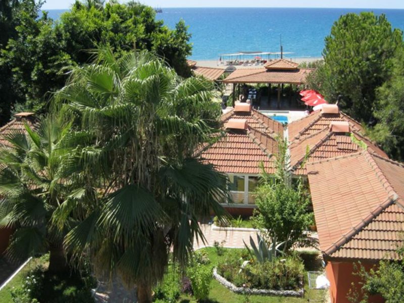 As Queen Beach 275798