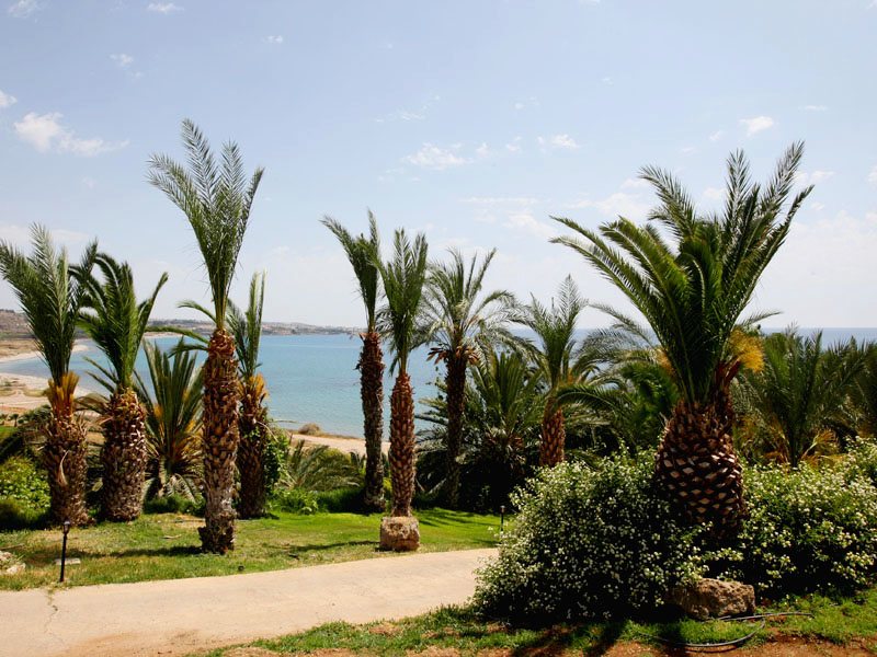 Ascos Coral Beach Hotel 272475