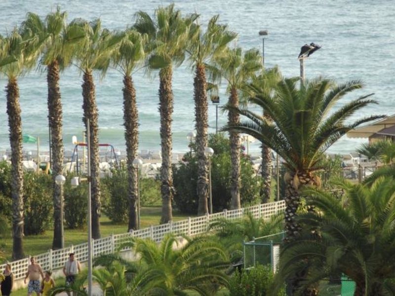 Aska Kleopatra Beste  66390