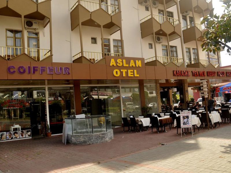 Aslan Hotel 180273