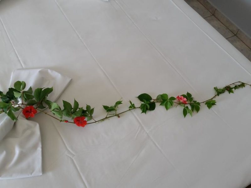 Astir Palace Hotel 305497