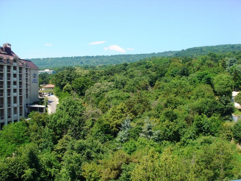 Astoria (Golden Sands)  163753