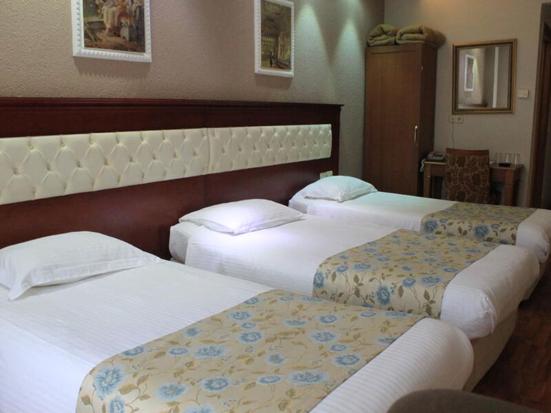 Asur Hotel 240392
