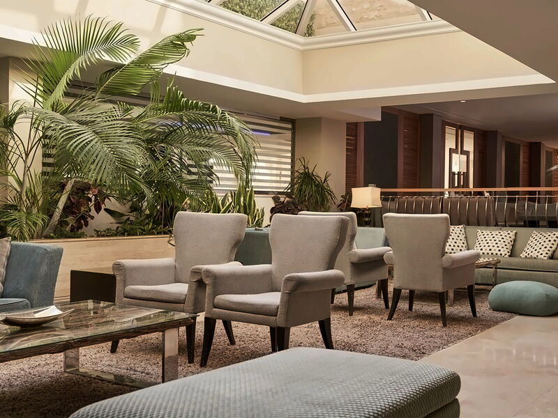 Atlantica Oasis 327913