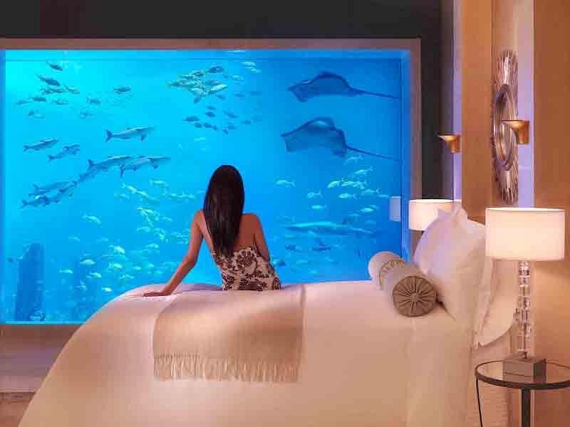 Atlantis The Palm  45440