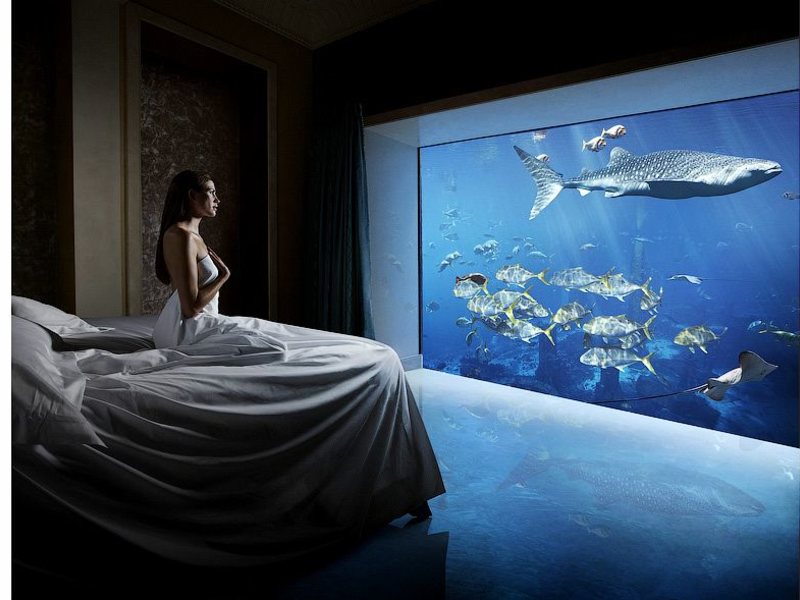 Atlantis The Palm  45447