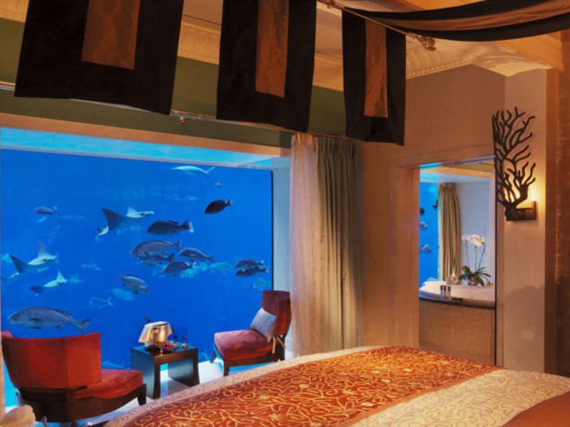 Atlantis The Palm  45450