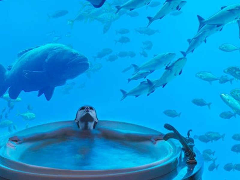 Atlantis The Palm  45455