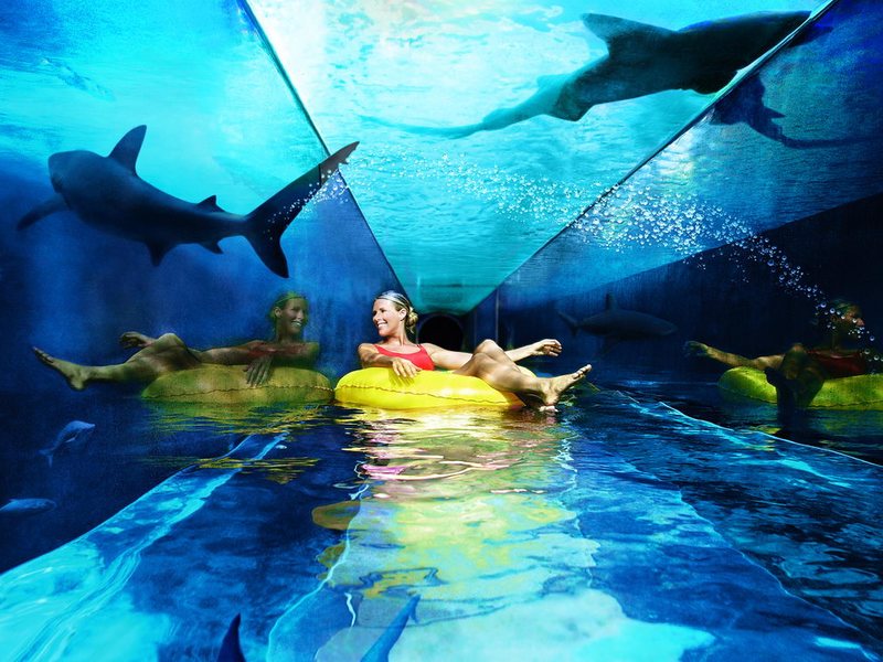 Atlantis The Palm  45460