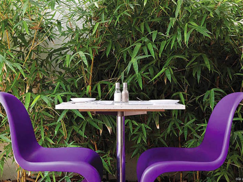 Atlas Art Pus Hotel Tel Aviv 9948