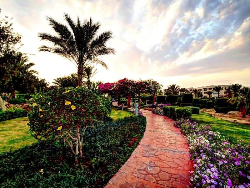 Aurora Oriental Resort Sharm (ех 126755