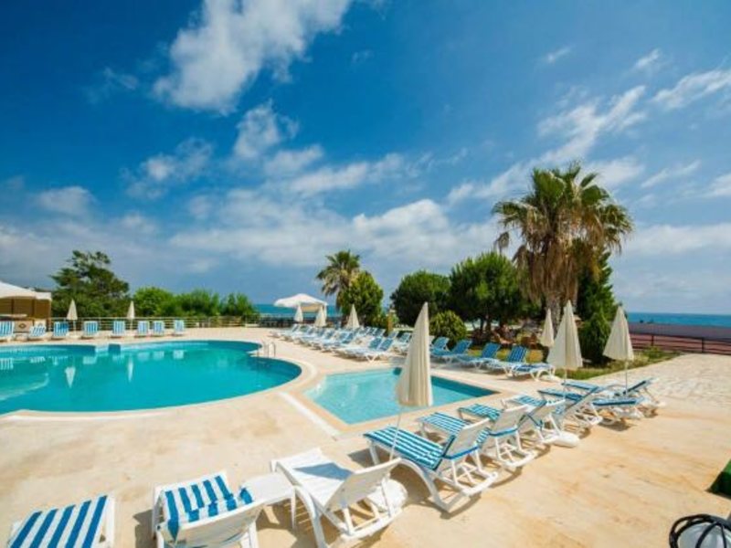 Avalon Beach Hotel 176806