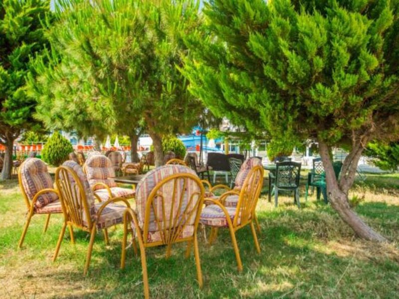 Avalon Beach Hotel 176810