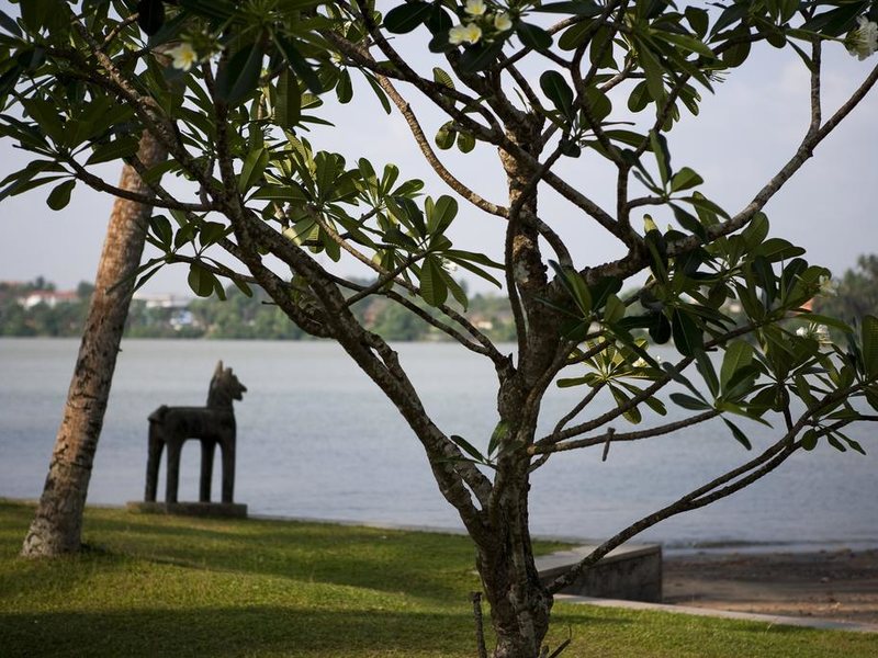 Avani Kalutara Resort (ex 110165