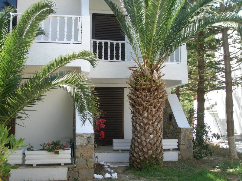 Avra Palm 216735