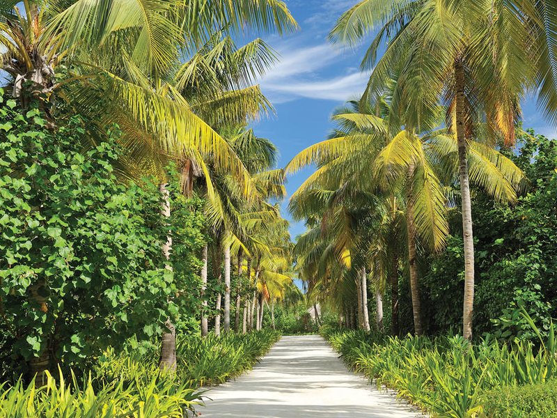 Ayada Maldives 227078