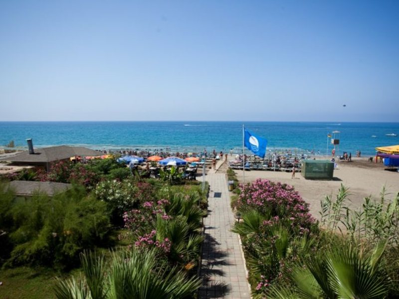 Aydinbey Gold Dreams 30344