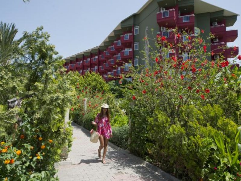 Aydinbey Gold Dreams 62959