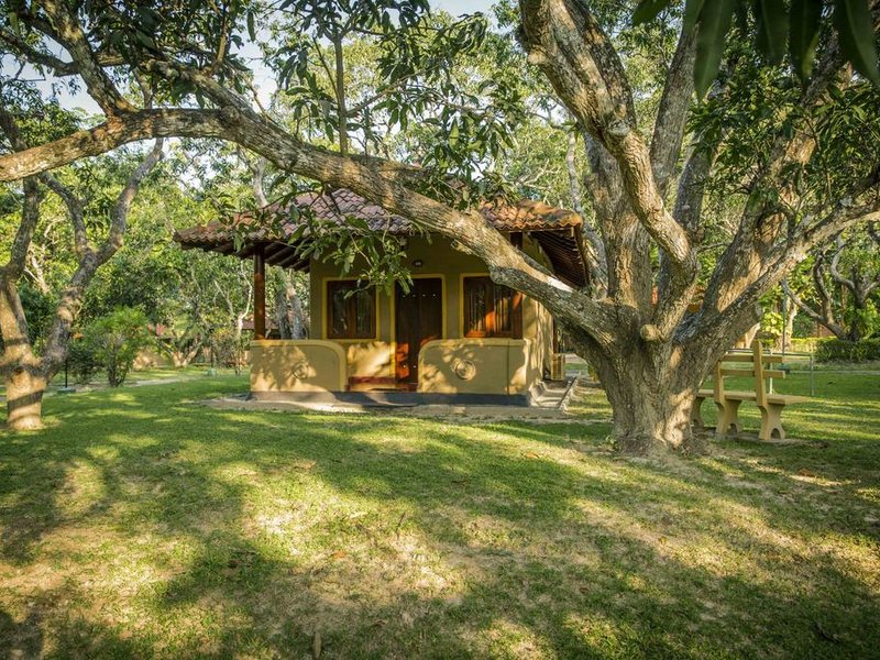 Ayurveda Kuren Maho 107130