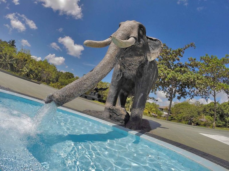 Ayurveda Kuren Maho 107143