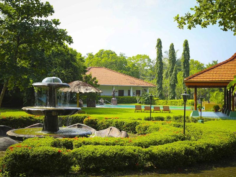 Ayurveda Kuren Maho 107149