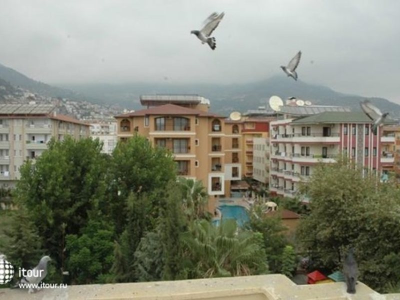 Azalea Apart Hotel  281299