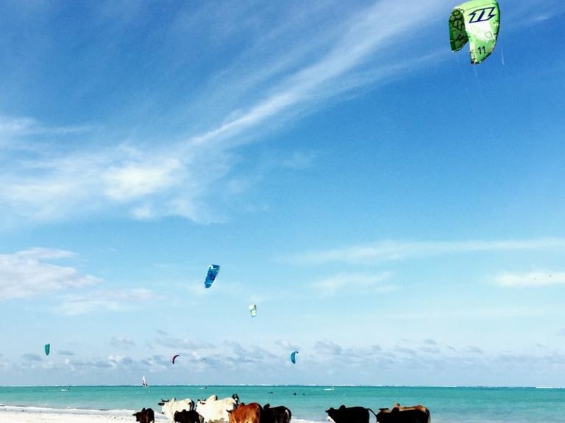 B4 Beach Club 321544