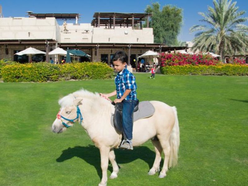 Bab Al Shams Desert Resort & Spa 113059