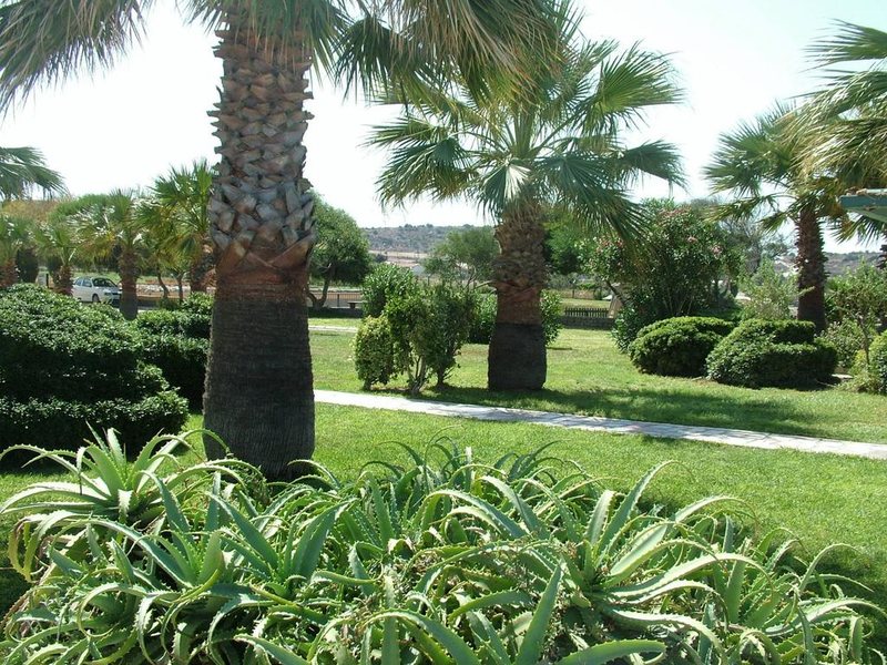 Babaylon Hotel 184247