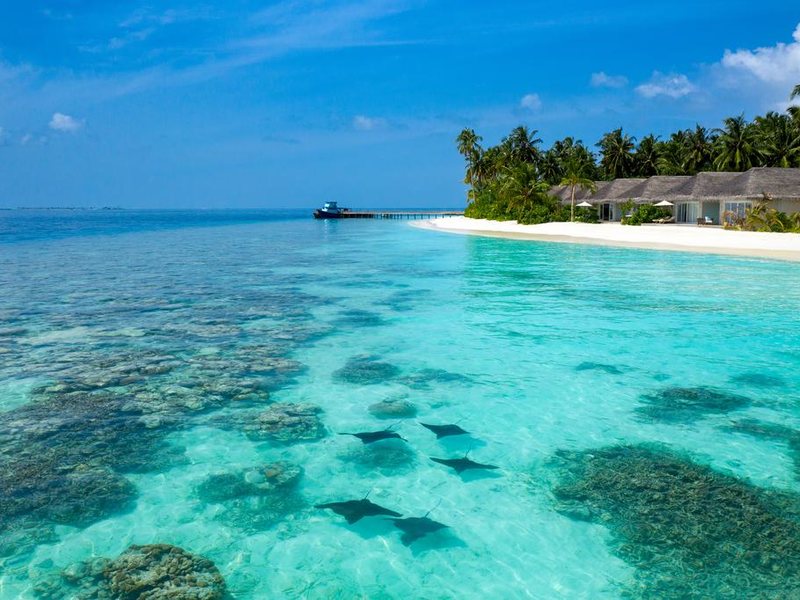 Baglioni Resort Maldives 324654