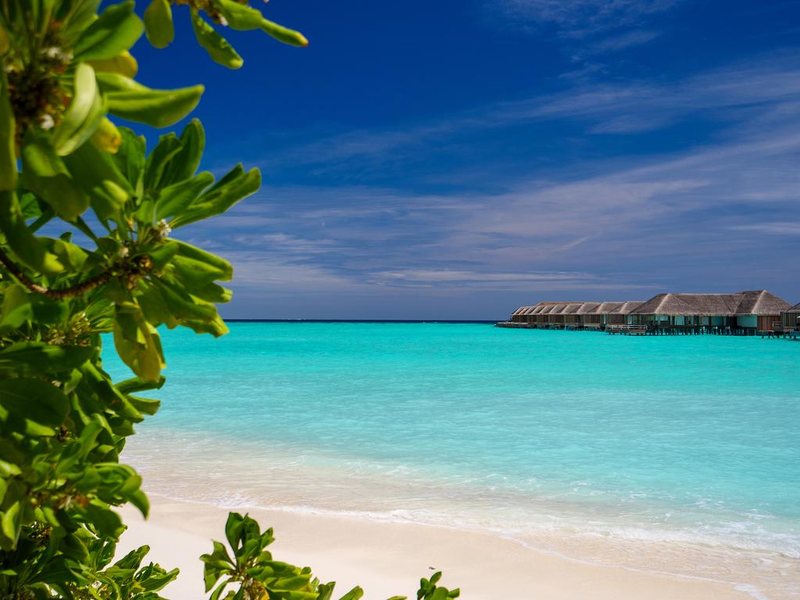 Baglioni Resort Maldives 324655