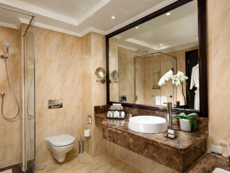 Bahi Ajman Palace Hotel (ех 54195