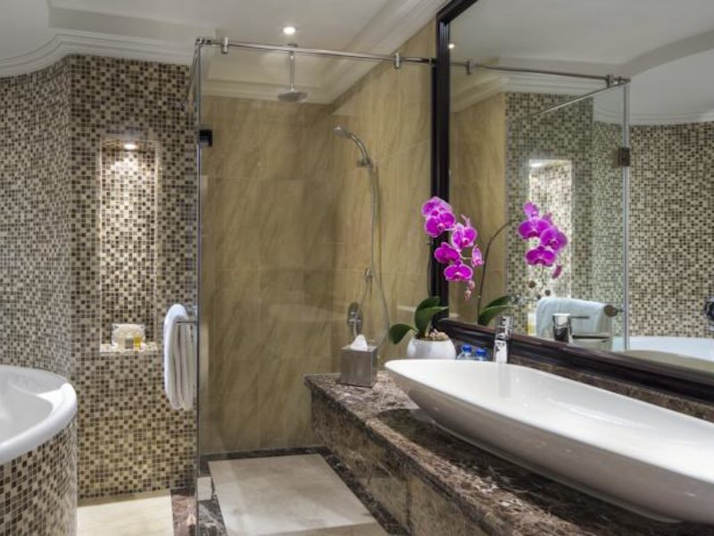 Bahi Ajman Palace Hotel (ех 54207