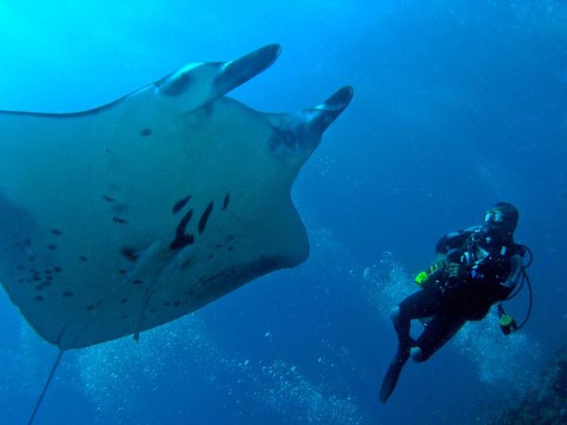 Bandos Resort 133826