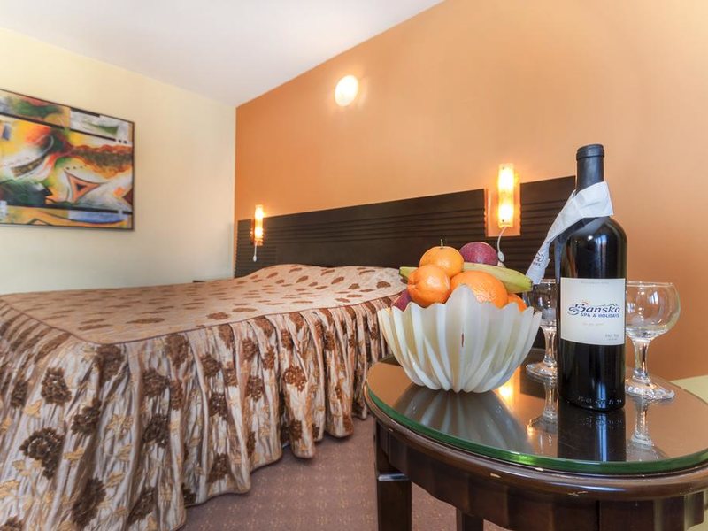 Bansko SPA & Holidays Hotel 234689