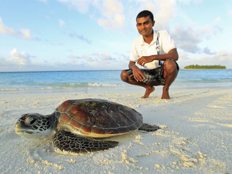Banyan Tree Vabbinfaru 133863