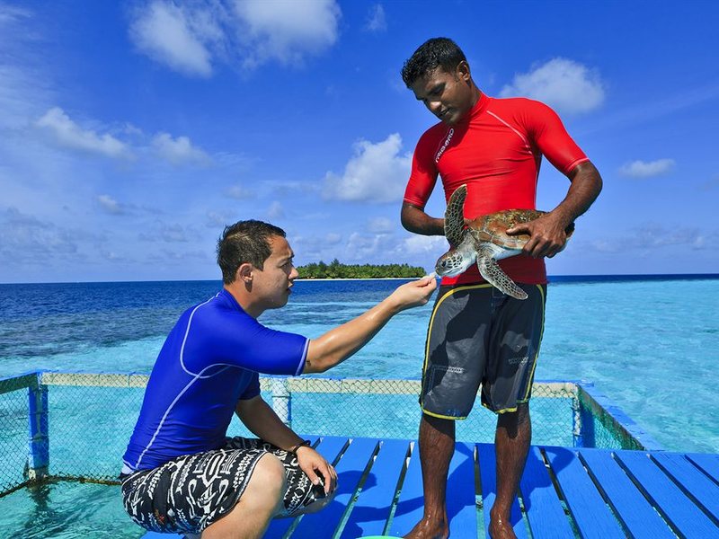 Banyan Tree Vabbinfaru 133864