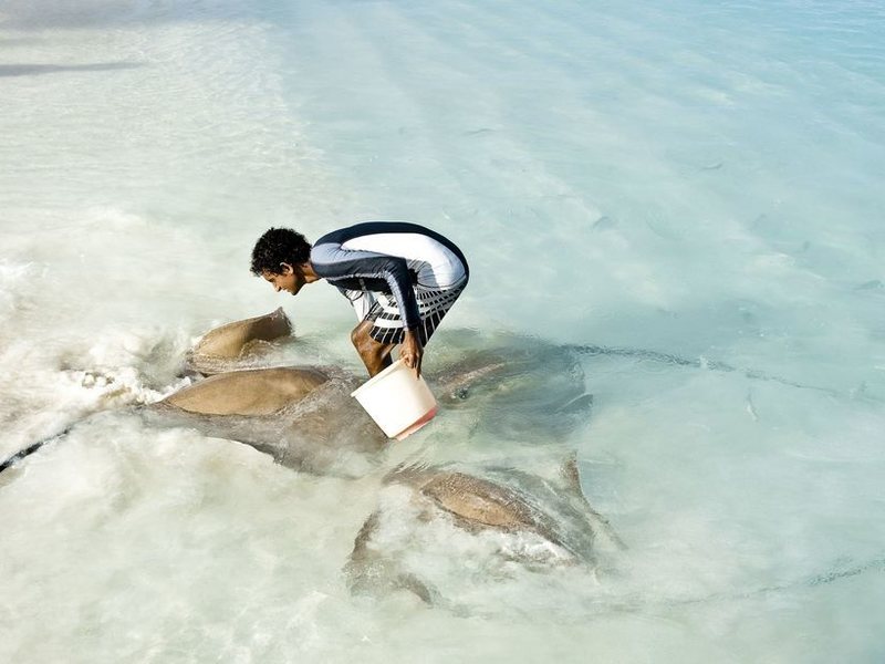 Banyan Tree Vabbinfaru 133876