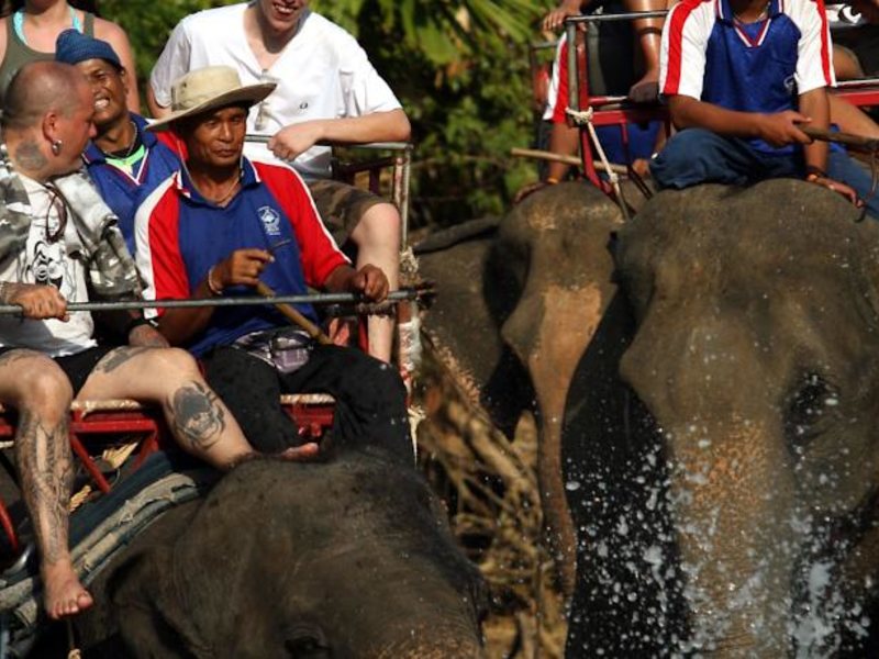 Barali Beach Resort 149777