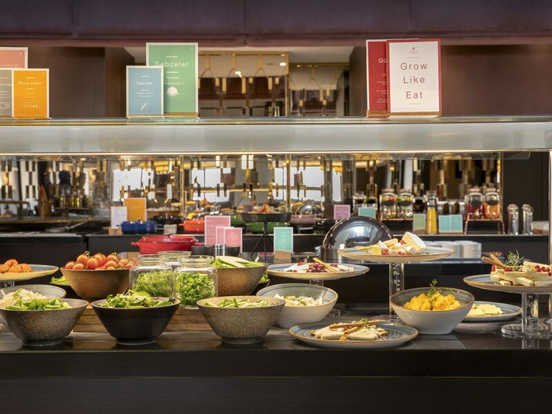 Barcelo Istanbul Hotel (ех 301915