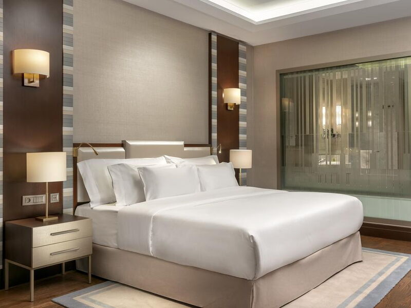 Barcelo Istanbul Hotel (ех 301917