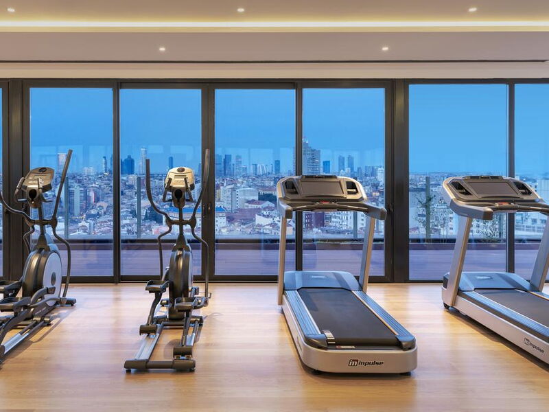 Barcelo Istanbul Hotel (ех 301918