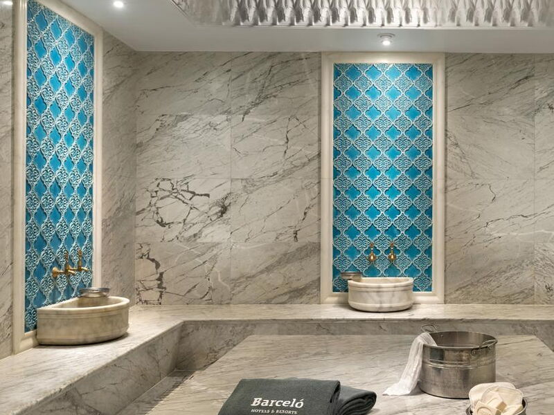 Barcelo Istanbul Hotel (ех 301926