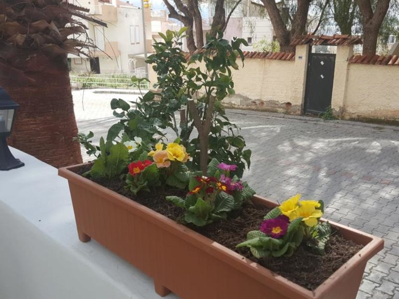 Baris Suite Hotel 303331