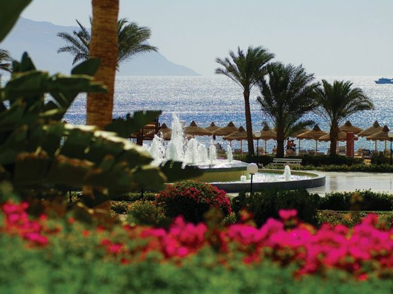 Baron Deluxe Resort 37427