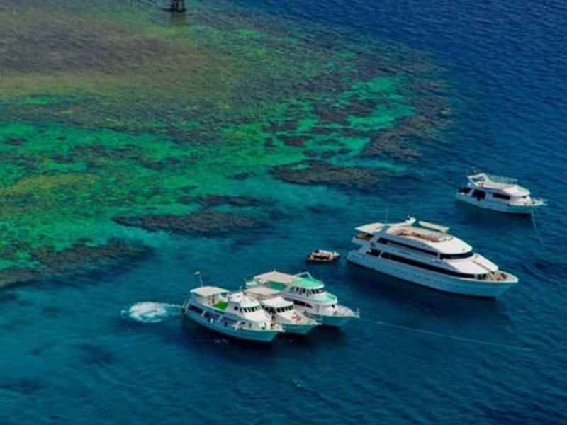 Baron Palace Resort Sahl Hasheesh 51785