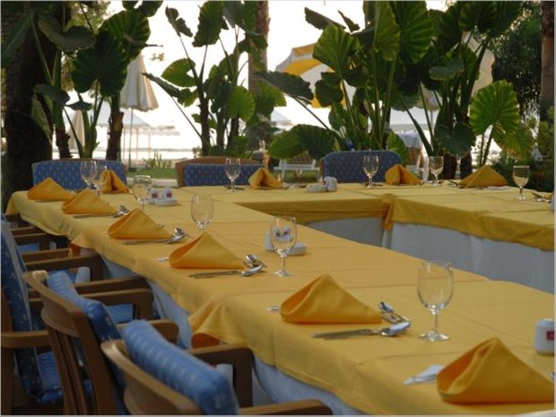 Barut Acanthus & Cennet 31517