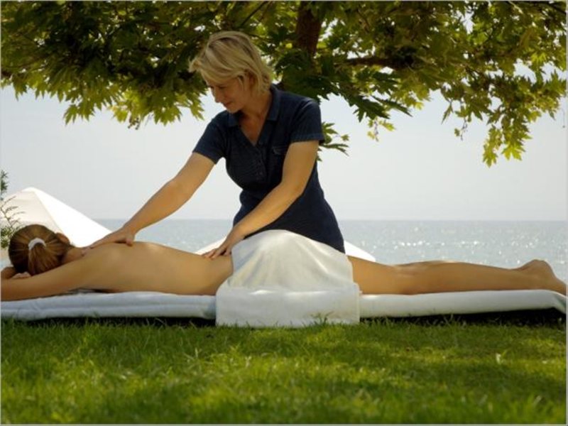 Barut Acanthus & Cennet 31521