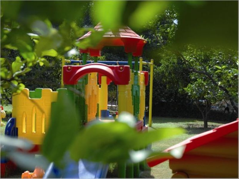 Barut Acanthus & Cennet 31522