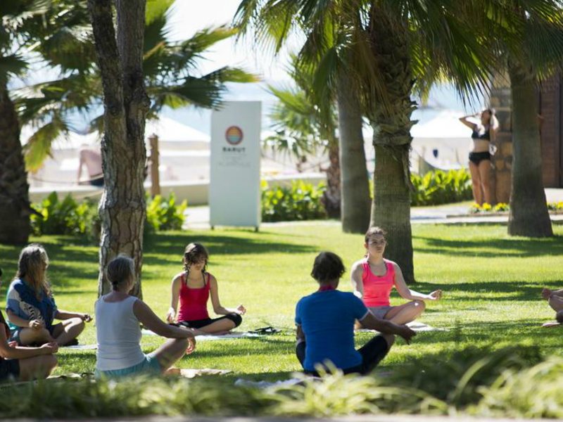 Barut Acanthus & Cennet 63140